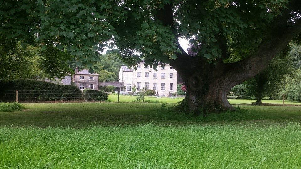 Clonacody House Pensionat Clonmel Exteriör bild